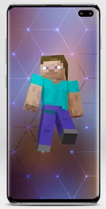 Steve Skin for Minecraft screenshot 2