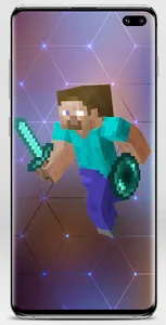 Steve Skin for Minecraft screenshot 9