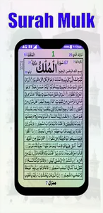 Panj Surah 16 Lines screenshot 6