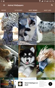 Animal Wallpapers screenshot 13