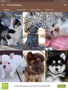 Animal Wallpapers screenshot 16