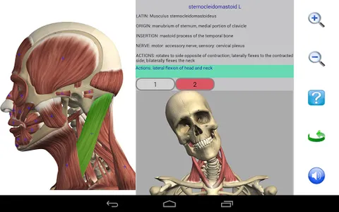 Visual Anatomy 2 screenshot 18