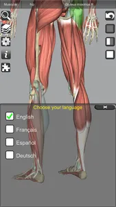 3D Bones and Organs (Anatomy) screenshot 15