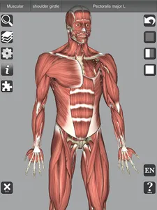 3D Bones and Organs (Anatomy) screenshot 17