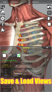 3D Bones and Organs (Anatomy) screenshot 20