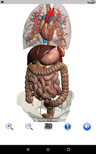 Visual Anatomy Lite screenshot 21