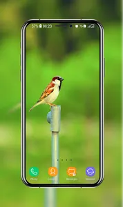 Birds Wallpaper screenshot 6