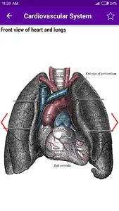 Cardiovascular Anatomy Atlas screenshot 4