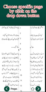Badla Urdu Novel screenshot 4