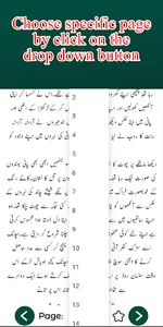 Majhdhaar-e-Ishq - Urdu Novel screenshot 4