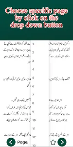 Tu Mera Janoon Urdu Novel screenshot 4