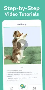 Hundeo: Puppy & Dog Training screenshot 1