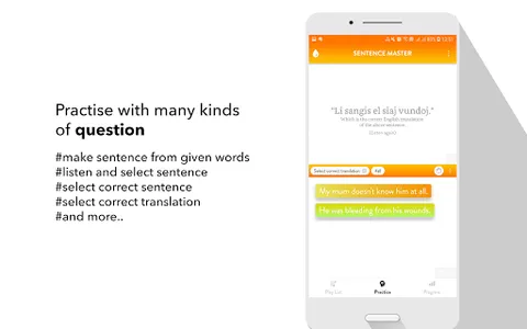 Esperanto Sentence Master screenshot 18