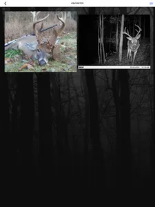 huntAhead: Hunting, Deer, GPS, screenshot 15