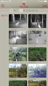 HunterCam screenshot 0