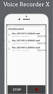 Voice Recorder X screenshot 0