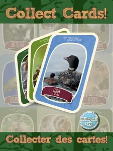 HWW The Wild Gang screenshot 4