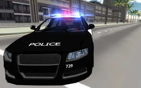 Police Car Drift 3D screenshot 16