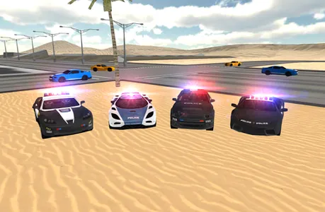 Police Car Driving Sim screenshot 20