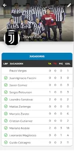 Torneo Sanfra screenshot 4