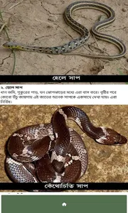 Snake screenshot 2