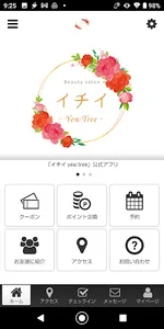 イチイ yew tree screenshot 0