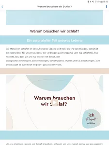 Ich-Projekt screenshot 11