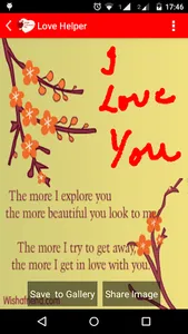 Valentine Wishes screenshot 3