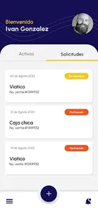 Viáticos HBG screenshot 2