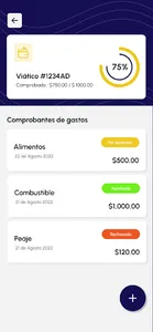 Viáticos HBG screenshot 4