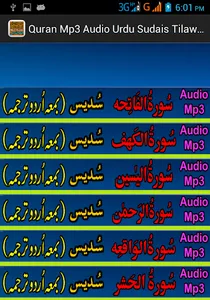 Sudes Urdu Quran Audio Tilawat screenshot 8