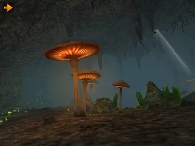 VR Experience screenshot 19
