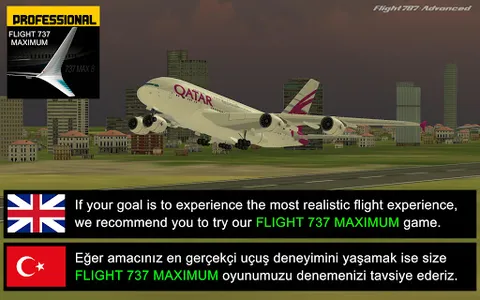 Flight 787 - Advanced - Lite screenshot 0