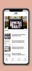 IEE | Instituto Estatal Electo screenshot 0