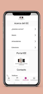 IEE | Instituto Estatal Electo screenshot 3