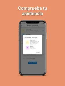 SIIEE - Sistema de Información screenshot 9