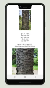 나무 스캐너 screenshot 2