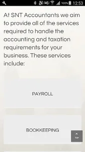 SNT Accountants Web screenshot 1