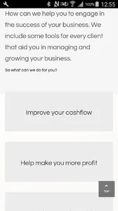 SNT Accountants Web screenshot 3