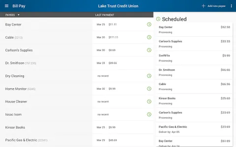 Lake Trust Credit Union screenshot 13