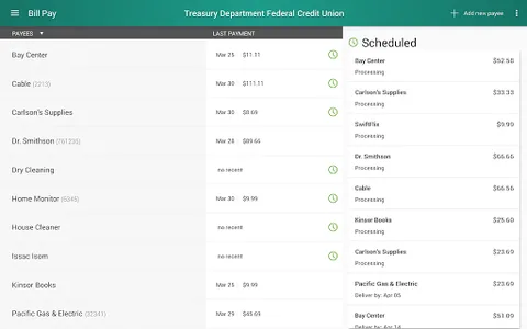 Treasury Department FCU screenshot 13