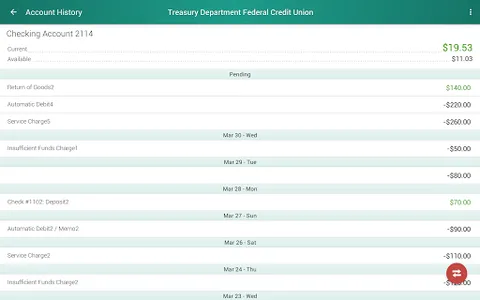 Treasury Department FCU screenshot 6