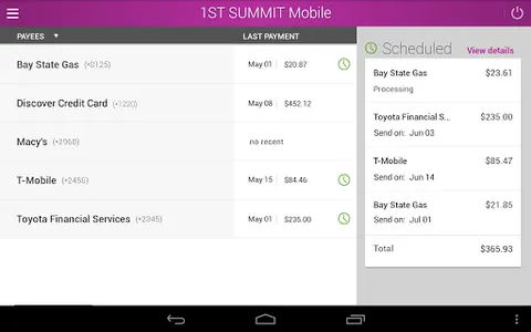 1ST SUMMIT BANK screenshot 8