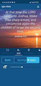 Igbo Bible screenshot 2