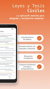 Leyes y Tesis Civiles screenshot 1