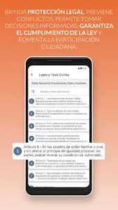 Leyes y Tesis Civiles screenshot 3