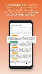 Leyes y Tesis Civiles screenshot 5