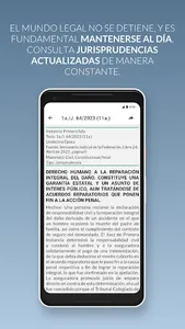Leyes y Tesis Civiles screenshot 6