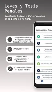Leyes y Tesis Penales screenshot 0
