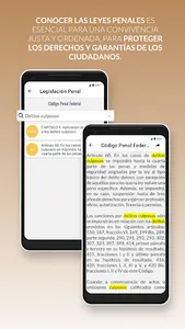 Leyes y Tesis Penales screenshot 2